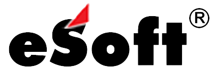 eSoft Logo